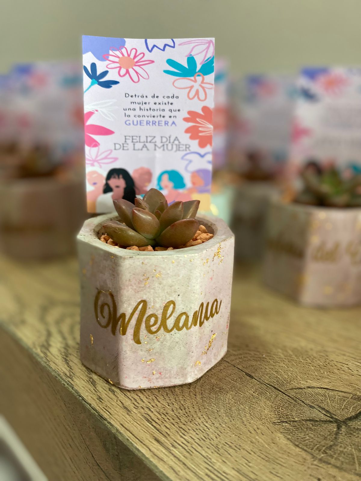 Mini Maceta Personalizada